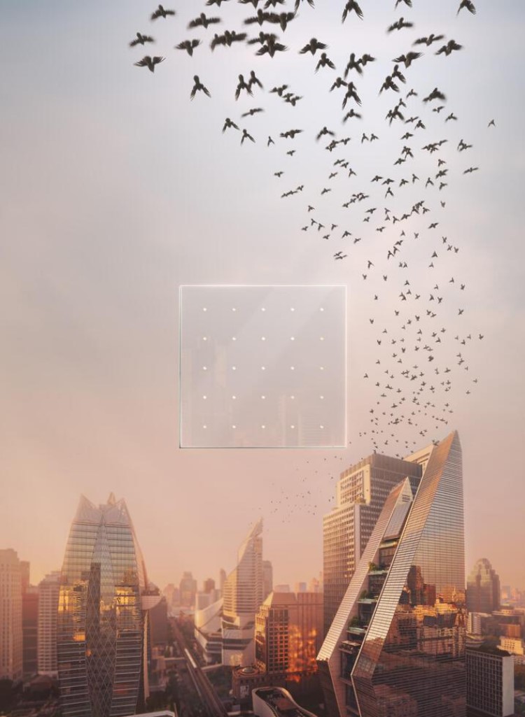 استفاده از شیشه‌ی محافظ در ساختمان‌ها به منظور جلوگیری از آسیب‌رسیدن به پرندگان