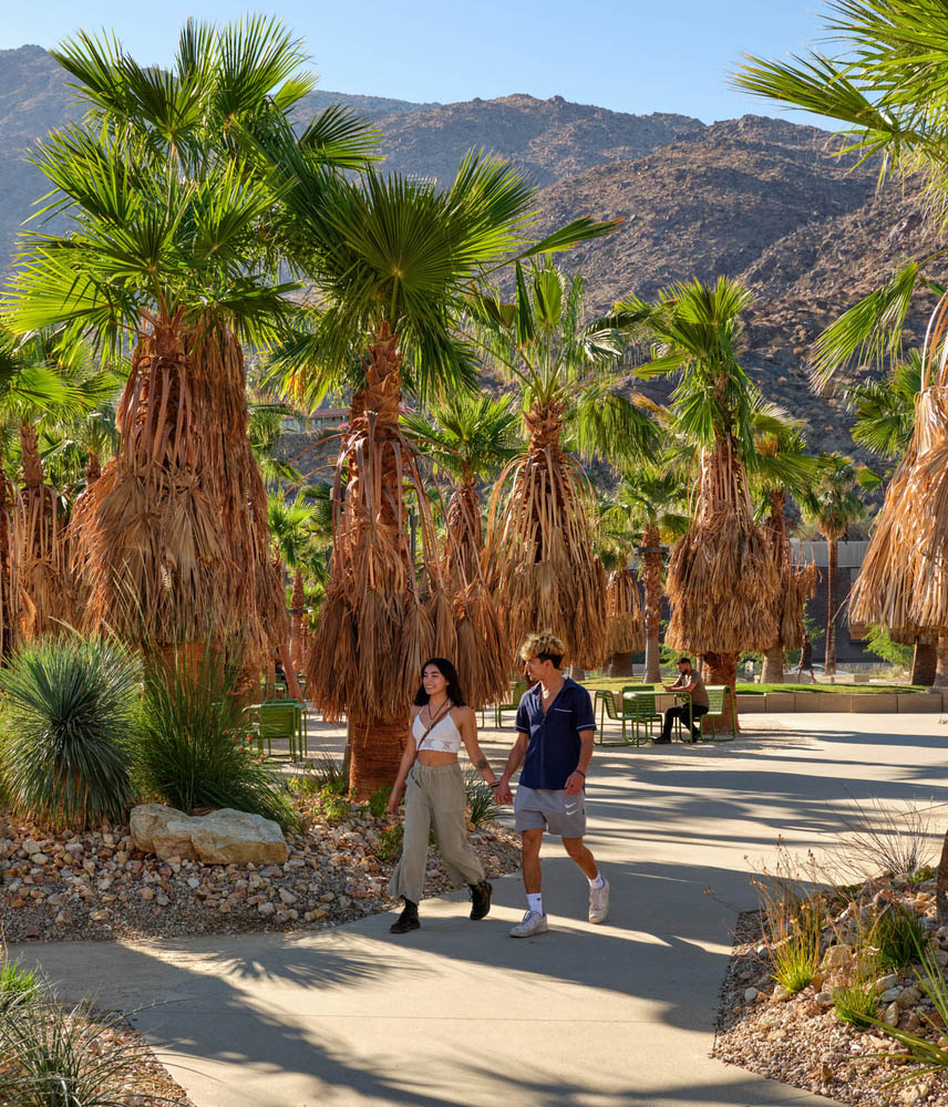 پارک palm spring